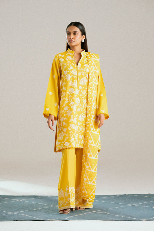 Cotton Lawn Dyed Embroidery