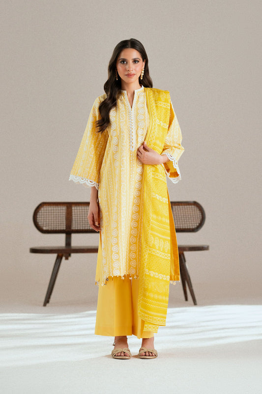 Cotton Lawn Dyed Embroidery