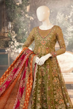 Maria.B – D6 (Olive Green & Maroon Organza)